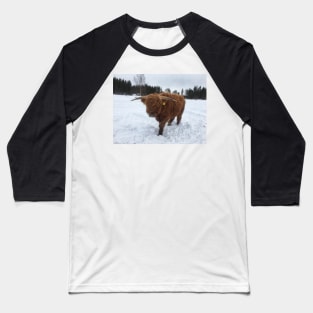 Scottish Highland Cattle Bull 1708 Baseball T-Shirt